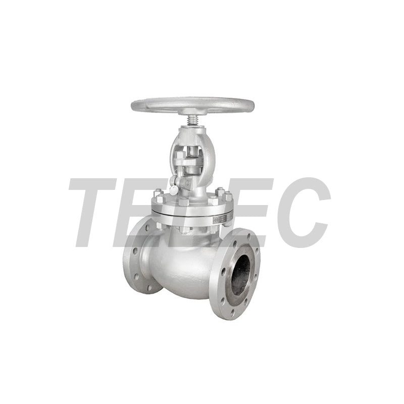 GLOBE VALVE