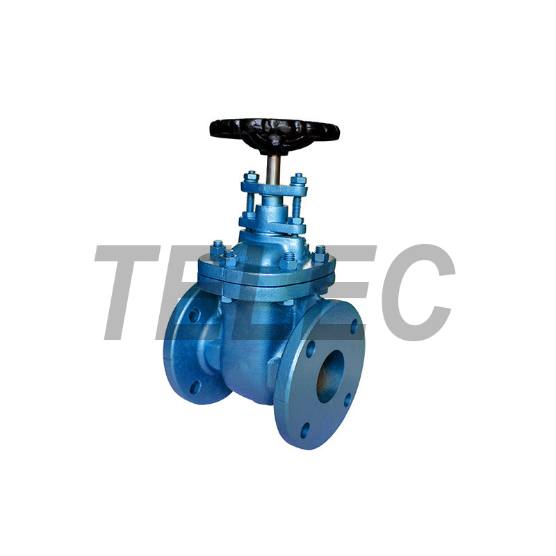 GATE VALVE